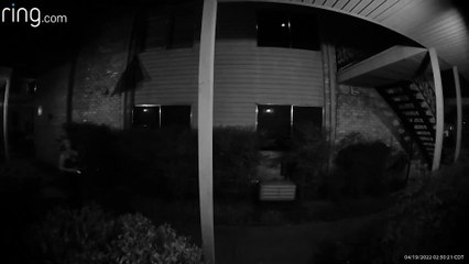 Person Takes Tipsy Tumble From Patio