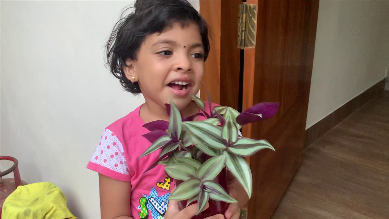 Indoor Plants DECOR Ideas with Used Bottles & JARs | வீட்டிற்குள் அலங்கார செடி வளர்க்கலாம்