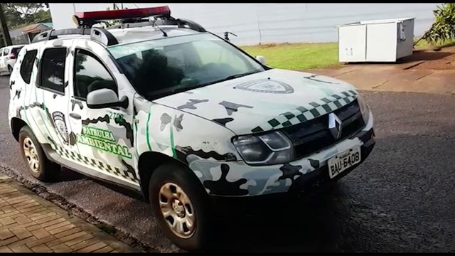 Patrulha Ambiental averigua possível situação de maus-tratos a coelhos