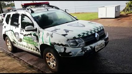 Patrulha Ambiental averigua possível situação de maus-tratos a coelhos