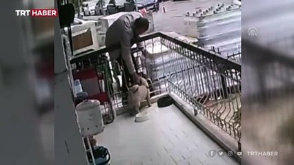 Balkona tırmanıp köpeği çaldı: O anlar kamerada