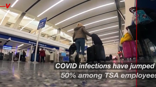 Lifted Mask Mandate Results in 50% Increase of COVID Infections Among TSA Employees