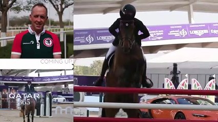 La culture du cheval au Qatar : une quête d'excellence et de beauté