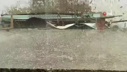 Adana'da dolu yağışı çevreyi beyaza bürüdü, ekili alanlar zarar gördü