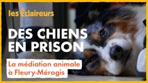 À Fleury-Mérogis, ces chiens visitent les détenus