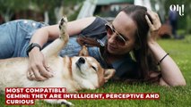 Dog Astrology: This is what your dog's zodiac sign tells about their personality