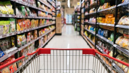 FEMME ACTUELLE - "Tout passe pour mes chats" : une retraitée surprend par le montant impressionnant qu'elle dépense pour ses animaux