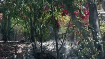 Contaminan rio Pitillal con basura y escombro | CPS Noticias Puerto Vallarta