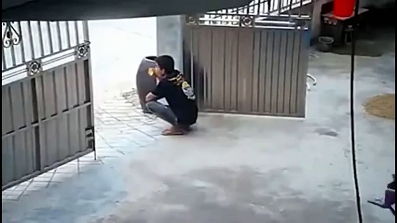 Un chien très sympa apporte une chaise à son maitre