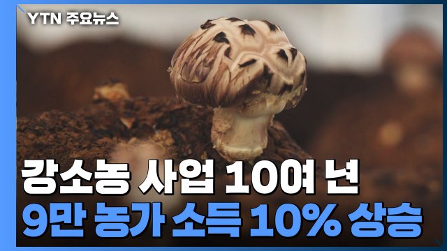 [녹색] 강소농 사업 10여 년...9만여 농가 소득 10% 올라 / YTN