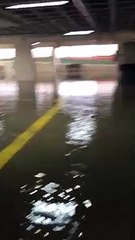 Udesc de Joinville registra alagamentos e suspende aulas