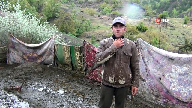 Çorum'da köye inen aç kurtlar 24 küçükbaş hayvanı telef etti