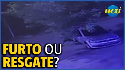 Homem arromba carro e furta cadela da raça Pinscher em BH