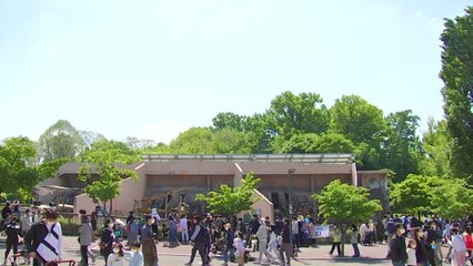 [날씨] 어린이날·입하, 낮 더위...동해안 대형 산불 유의 / YTN