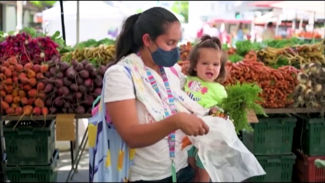 En Detalle: Advierten sobre robos y fraudes con tarjetas EBT