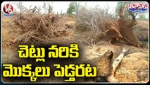 Cutting Down Trees To Plant Seedlings For Palle Prakruthi Vanam _ Bhupalapally _ V6 Teenmaar