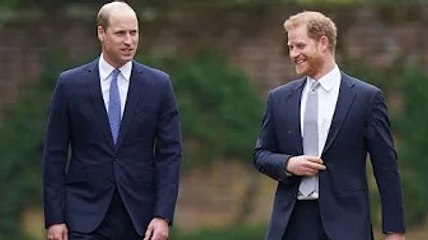 Prince William and Harry’s ketchup-dipped after-school snack laid bare by royal chef