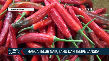 Harga Telur Di Gianyar Merangkak Naik