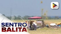 Dept. of Agriculture, hinikayat ang susunod na administrasyon na dagdagan ang budget sa sektor ng agrikultura