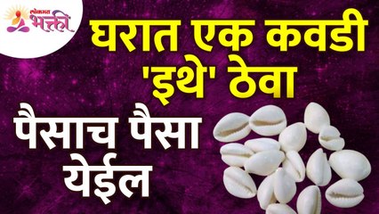 घरात १ कवडी कुठे ठेवल्याने भरपूर पैसे मिळतील?Keeping 1 Cowrie shell in home will bring lots of money