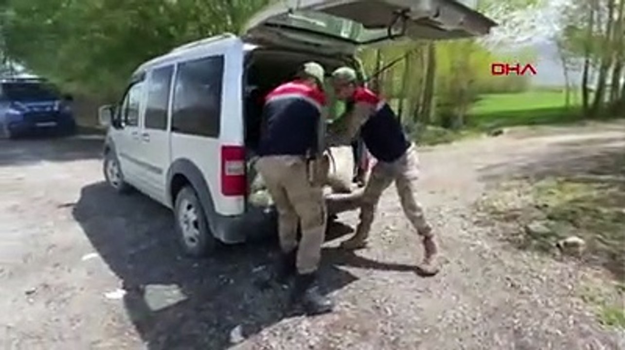 Van'da kaçak avlanan 450 kilo inci kefali ele geçirildi