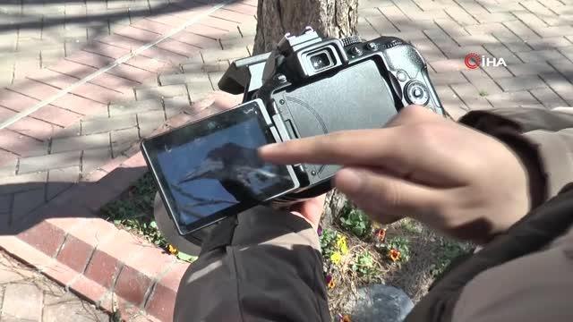 Genç doktor şehir şehir gezip doğa gözlemi yapıyor