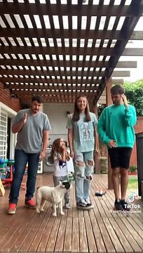 Une famille tente de faire une chorégraphie sur une chanson mais le petit va être perturbé par son chien