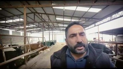 Süt Üreticileri, Ulusal Süt Konseyi'nin Fiyatları Artırmamasına Tepkili: "Her Gün Litre Başı 2 Lira Zarar Ediyoruz"
