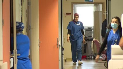 Döne ebe, 16 yıldır annelerin yavrularıyla ilk buluşmasına tanıklık ediyor