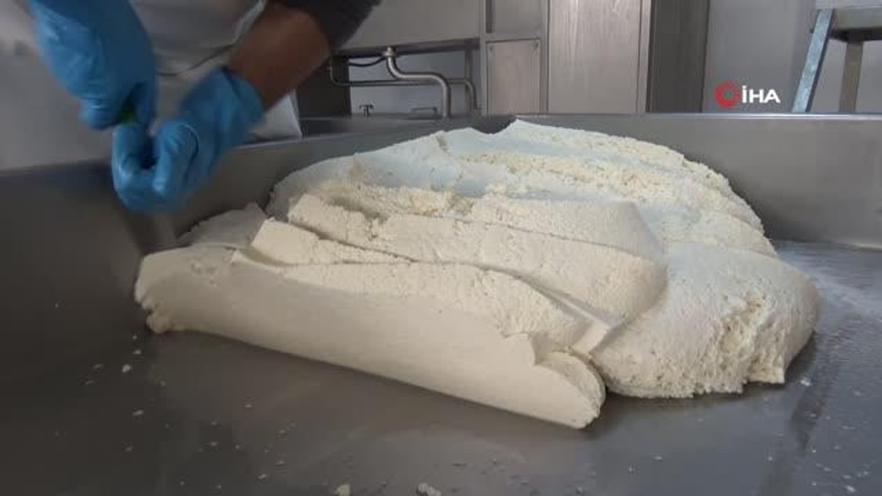 Bu fakülte ürettiği ürünler ile ülke ekonomisine katkı sağlıyor