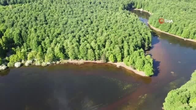 Karalık Yaylası'nda görsel şölen