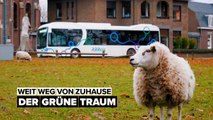 Wie der grüne Traum der E-Mobilität wahr wird