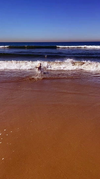 Bodysurfing Doggo in the Pacific Ocean