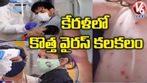 Tomato Flu Virus Detected In Kerala _ Tomato Flu _  V6 News