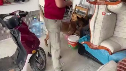 Narkotik köpeği Coo, şarjlı matkabın bataryasının içerisine zulalanan metamfetamin böyle buldu
