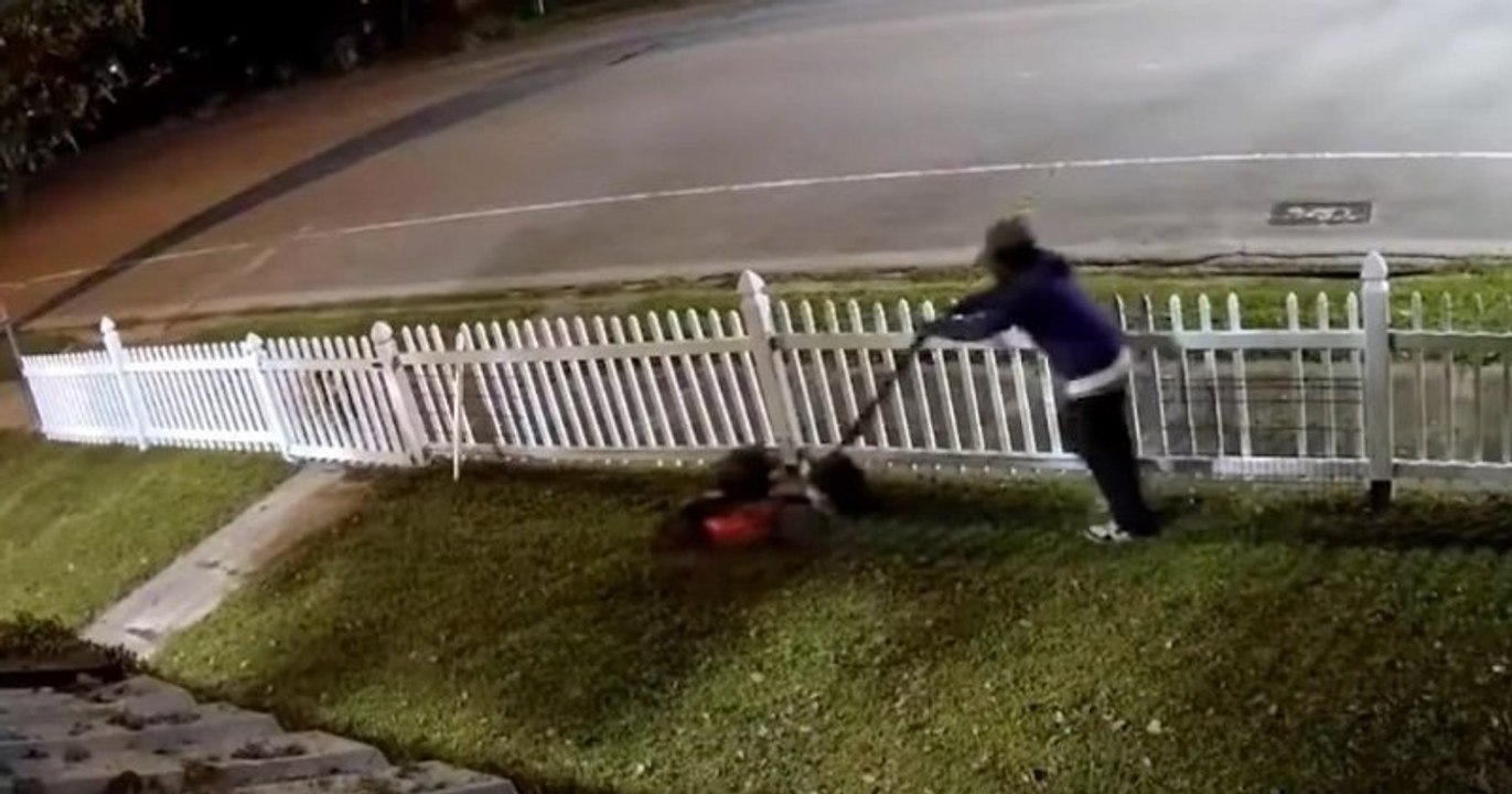 Ce voleur a préféré essayer la tondeuse à gazon qu'il s'apprêtait à voler avant de l'emporter