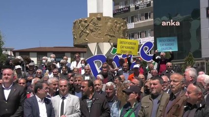 Rize'de Çay Protestosu: "Yaş Çay Alım Fiyatı En Az 10 TL Olsun"