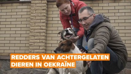 Zij helpen de achtergebleven huisdieren in Oekraïne