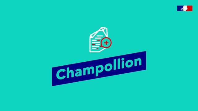 Champollion : Rendre intelligibles et valoriser dans la pratique les données de la déclaration sociale nominative - Entrepreneurs d'Intérêt Général