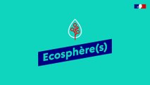 Écosphère(s) : Développer l'écosystème de la donnée de la transition écologique et de la cohésion des territoires  - Entrepreneurs d'Intérêt Général