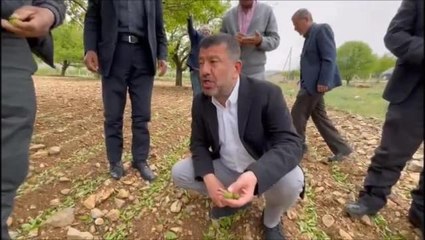Ağbaba: "Malatya'da Don ve Doludan Çiftçi Etkilendi. Bir An Önce Hasap Tespitiyle Gereken Yapılmalıdır"