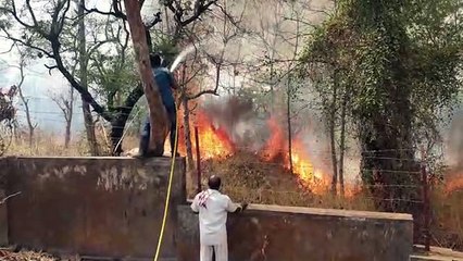 बांसवाड़ा में बड़ी आग, कई घंटे तक धधकता रहा वन क्षेत्र