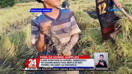 Ilang kabataan sa Aurora, nanghuhuli ng dagang bukid para ibenta at may ipambili ng gamit sa eskuwela | 24 Oras