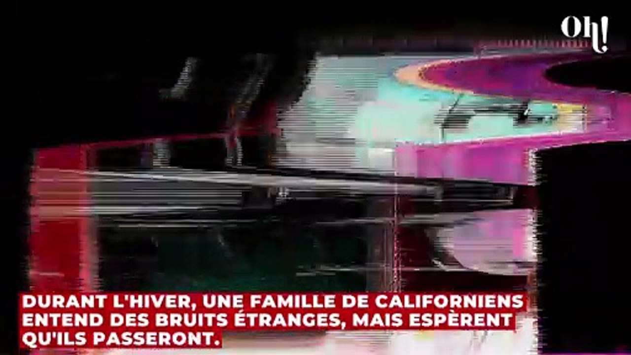 Cette famille entend des bruits inquiétants sous sa maison, ce qu'elle découvre va la laisser sans voix