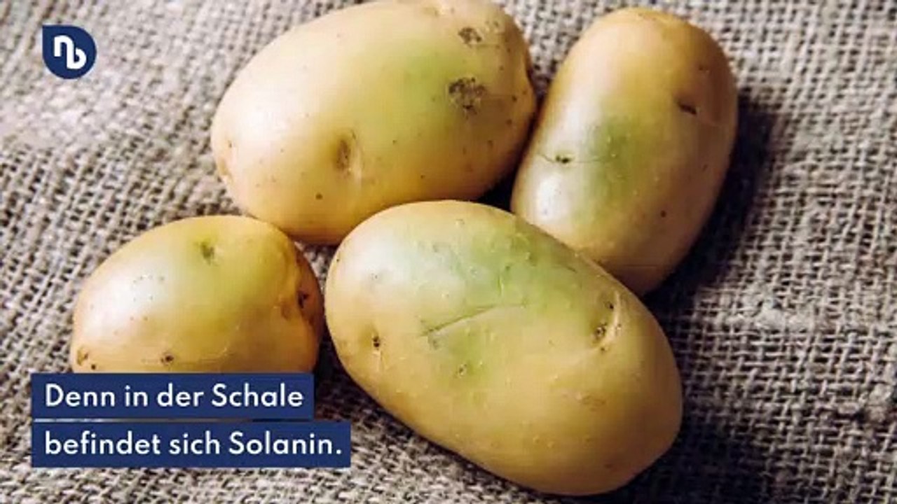 Achtung, giftig: Grüne Stellen bei Frühkartoffeln unbedingt entfernen