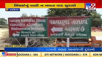 Lakes in Dabhoi dry up, farmers worried as demand for water goes unheard _ Vadodara _ TV9News
