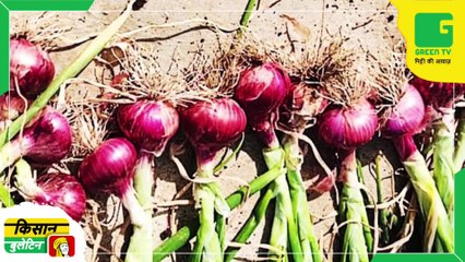 Kisan Bulletin - अब यहां मिलेगा Aeroponics (एरोपोनिक्स) विधि से आलू उगाने का लाइसेंस | ICAR | Potato Farming | Green TV