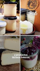 Merlès, la pastora millennial