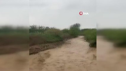 Elazığ'da dereler taştı, su altında kalan tarım arazileri zarar gördü