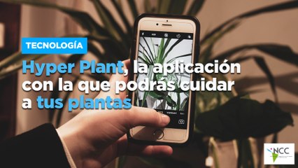 Hyper Plant, la aplicación con la que podrás cuidar a tus plantas